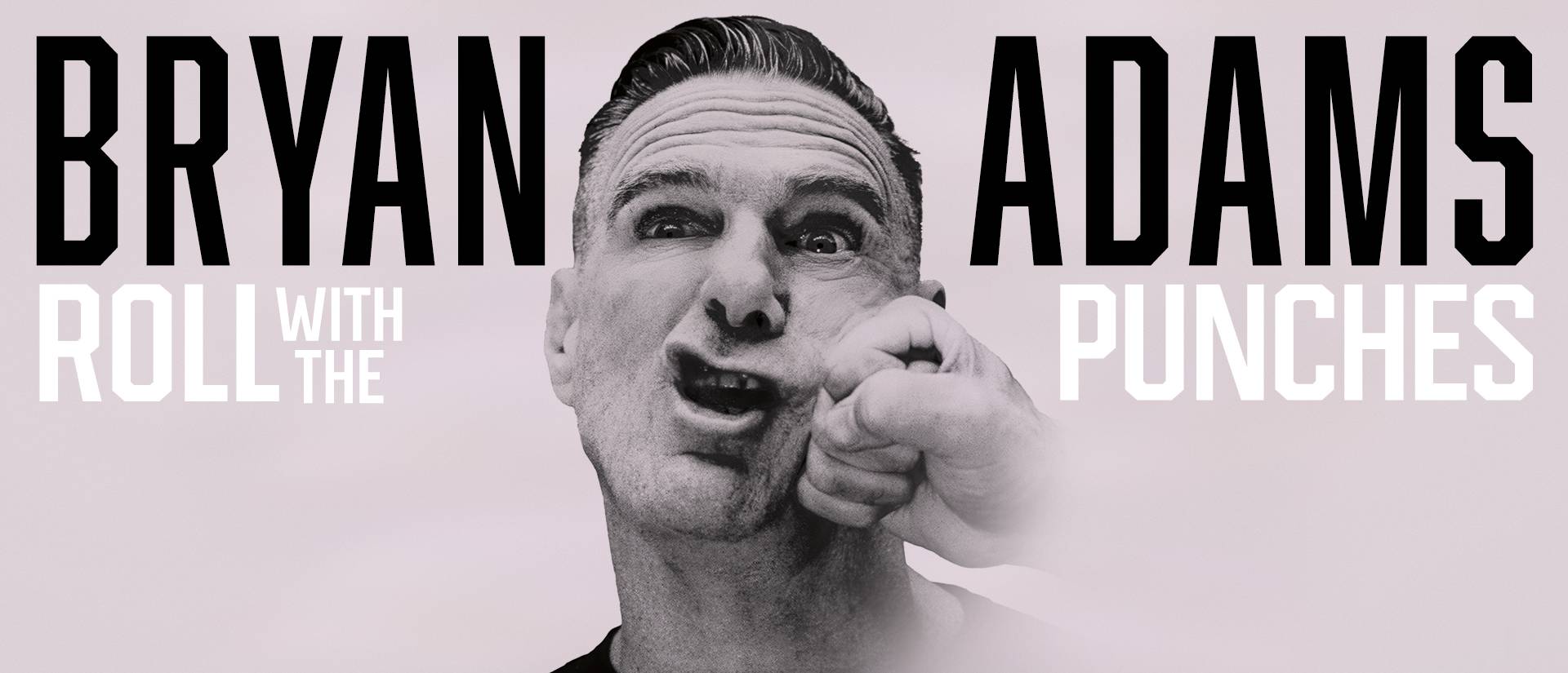 Bryan Adams · Roll With The Punches