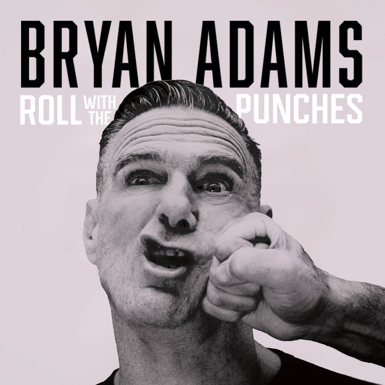 Bryan Adams · Roll With The Punches