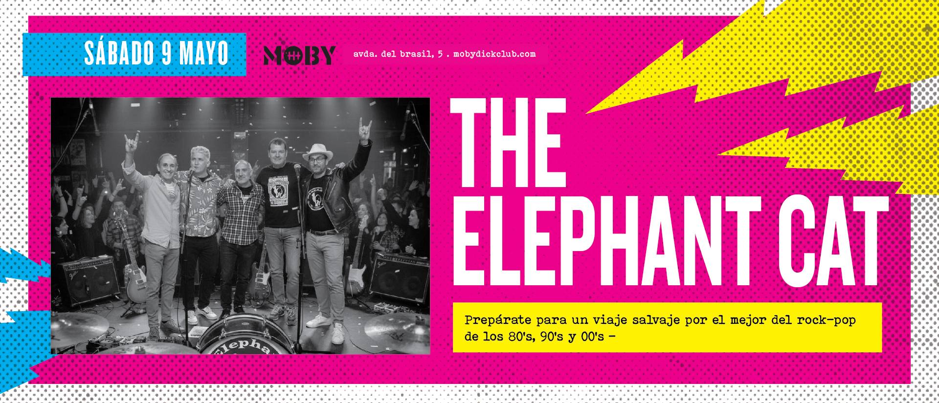 VERBENA EN LA BALLENA CON THE ELEPHANT CAT