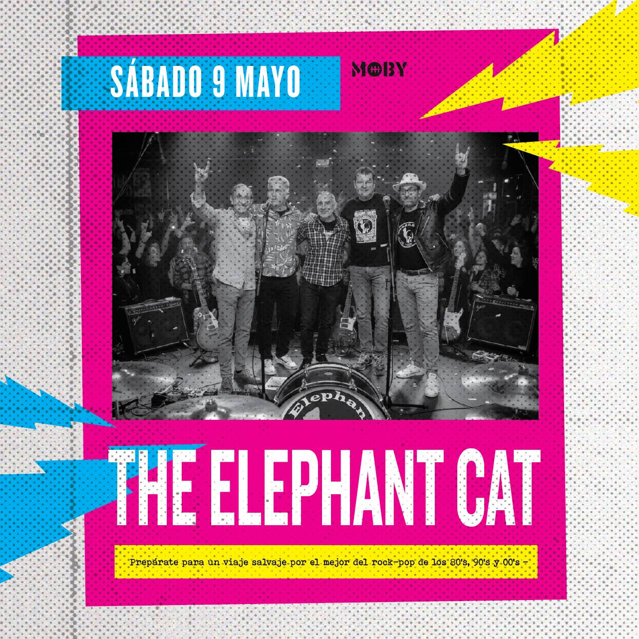 VERBENA EN LA BALLENA CON THE ELEPHANT CAT